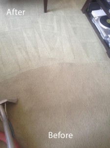 Carpet-Cleaning-cupertino