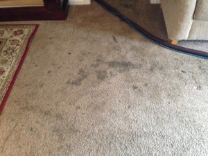 Dirty-Carpet-cupertino-CA