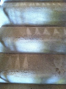 cupertino-Stairs-Carpet-Cleaning