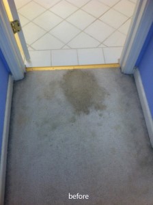 cupertino-Vomit-before-carpet