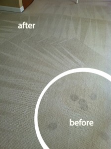 cupertino-Wine-Stain-Carpet-Cleaning